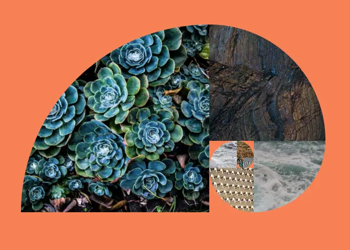 Responsive Golden Image Spiral (curved)